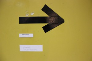 IMG_0810 web